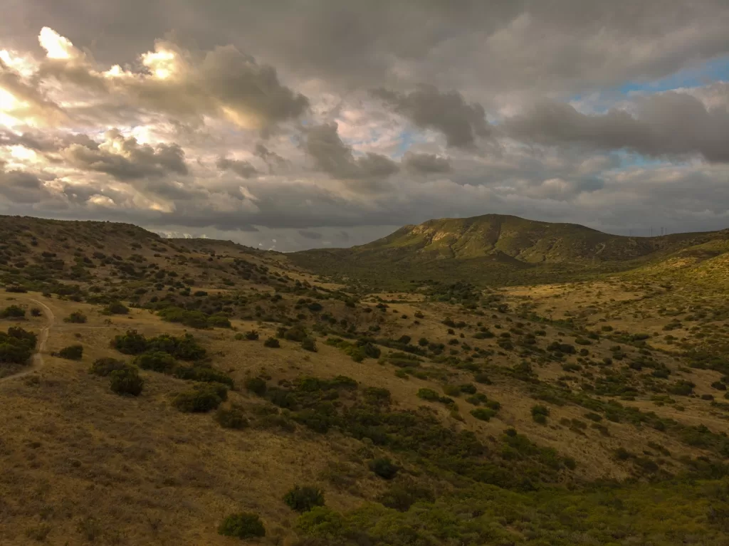 Wildlife sightings on a hike in Colorado such as elk or deer