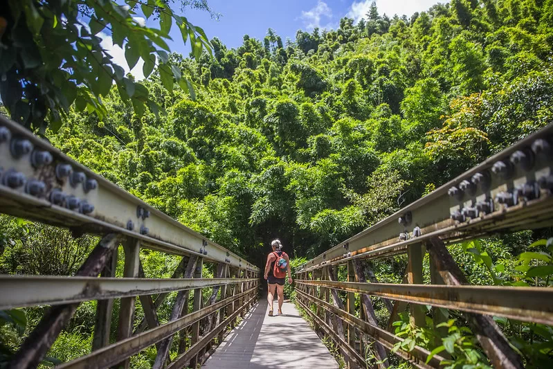 Pipiwai Trail, Bamboo forest direction.

