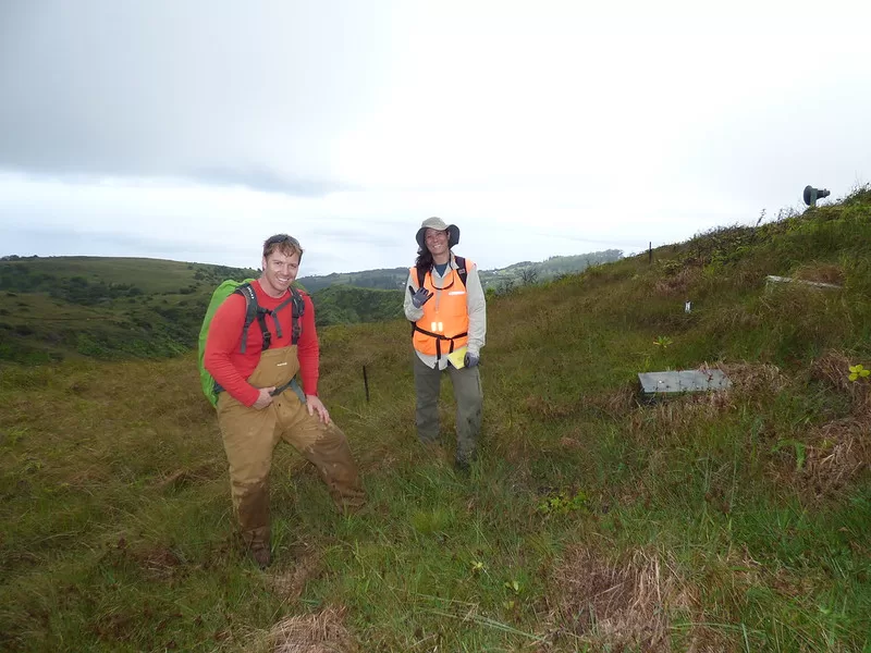 Newells Shearwater nest boxes with Matt and Kim at Makamakaole, Maui, Hawaii.

