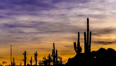 Sonoran Sunset Desert Botanical Garden, Phoenix AZ