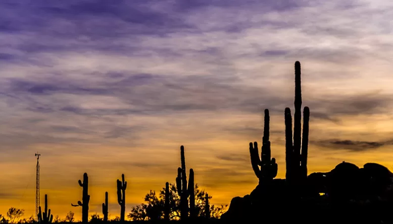 Sonoran Sunset Desert Botanical Garden, Phoenix AZ