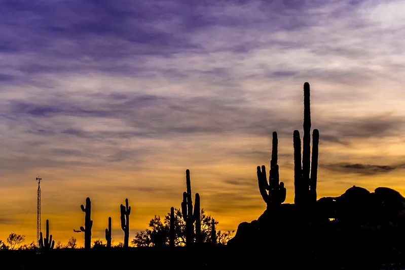 Sonoran Sunset
Desert Botanical Garden, Phoenix AZ

