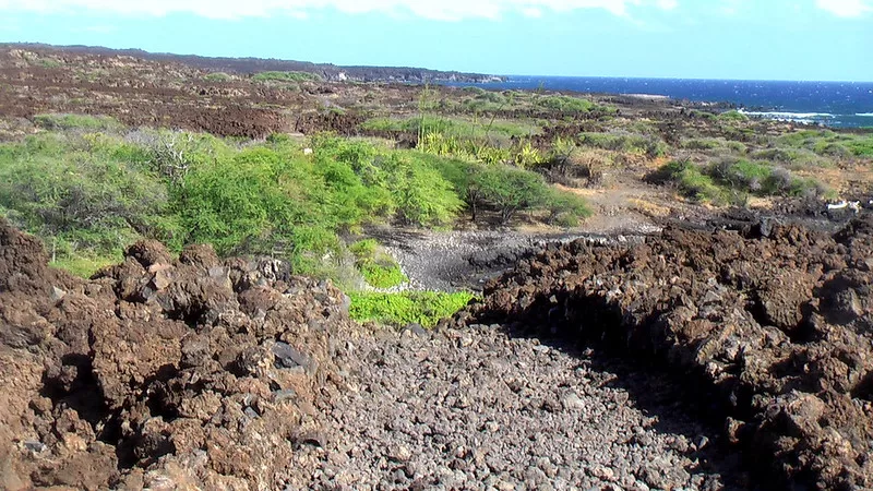 Hoapili Trail