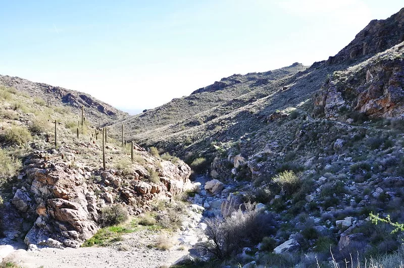 White Tank Mountain Hike