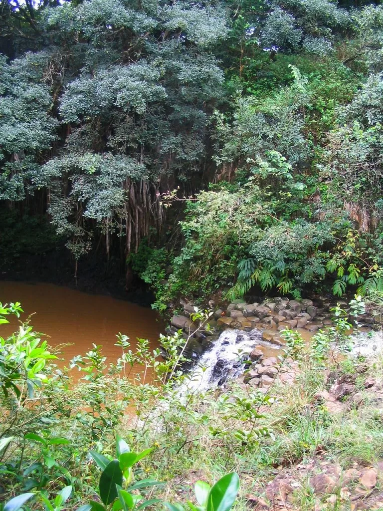 Twin Falls, Hana Highway, Maui, Hawaii