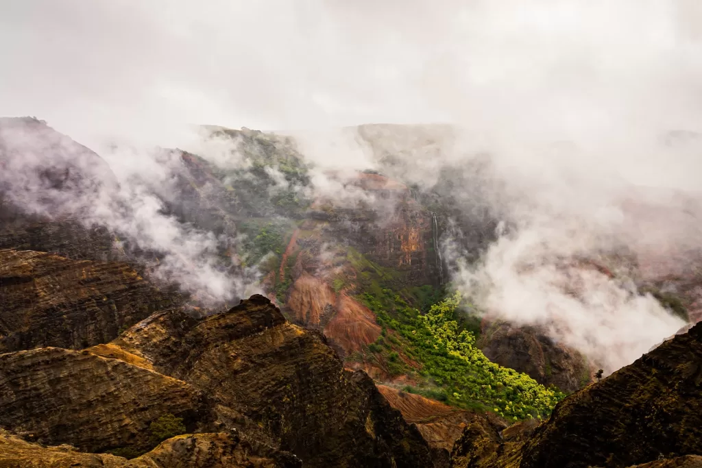 The Waimea Canyon with red cliffs and lush vegetation