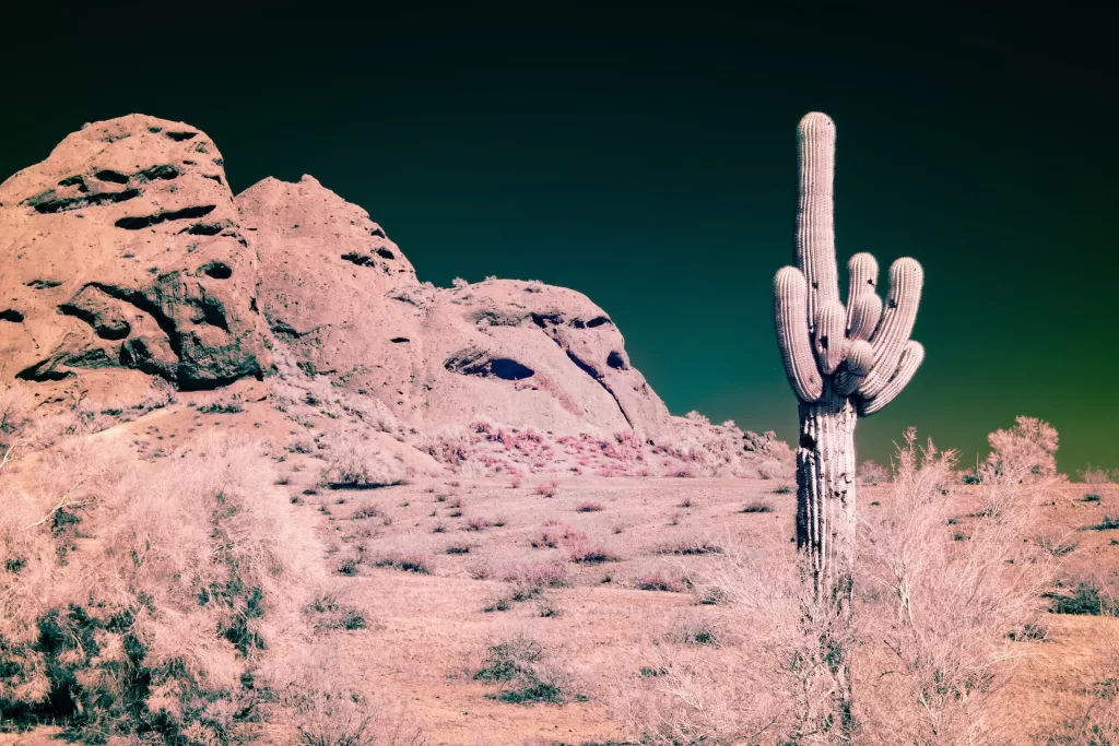 Papago Park, AZ in infrared.

