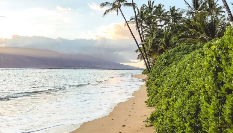 Best Hikes in Maui: Discover the Island's Most Stunning Treks