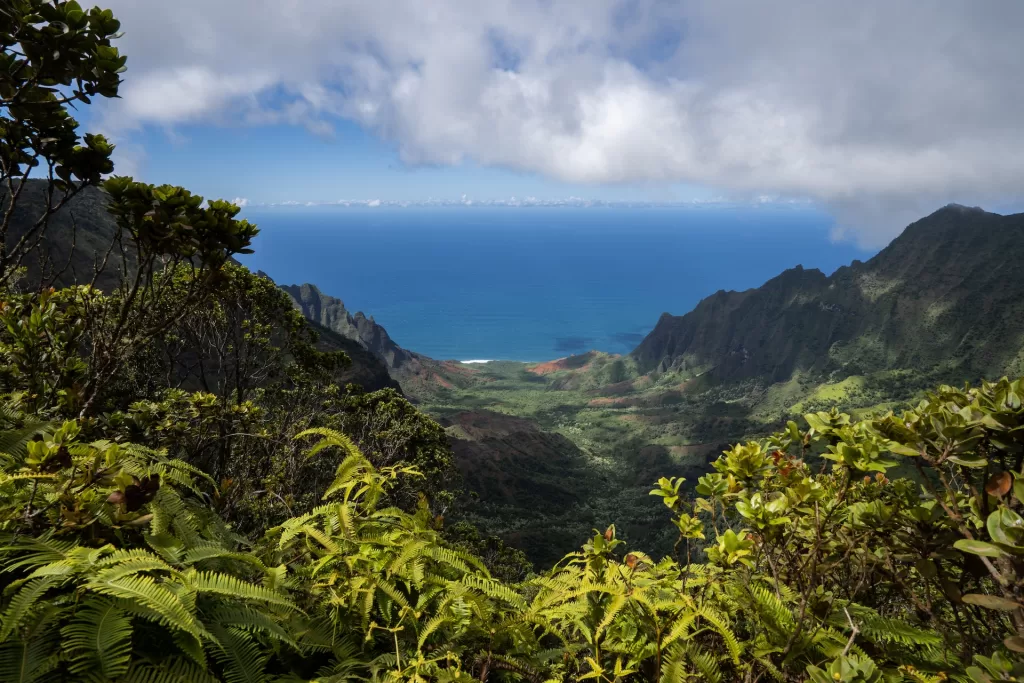 The Na Pali Coast with cliffs and ocean in the background