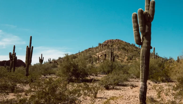 hiking in Phoenix