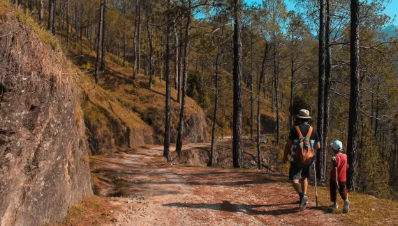 Kid-friendly hikes in Sedona