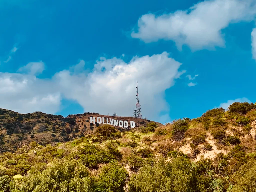 Challenging climb to the top of the Hollywood Hills with stunning city view