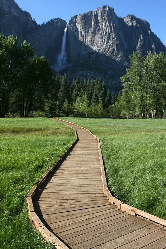 Yosemite Valley
In the Yosemite Valley, a boardwalk crosses a stretch of grassy wetlands. In the background is Yosemite Falls. Photographed in Yosemite National Park in California.

