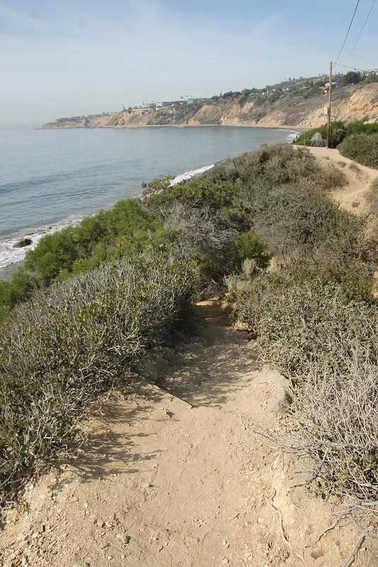 Abalone Cove Shoreline Park