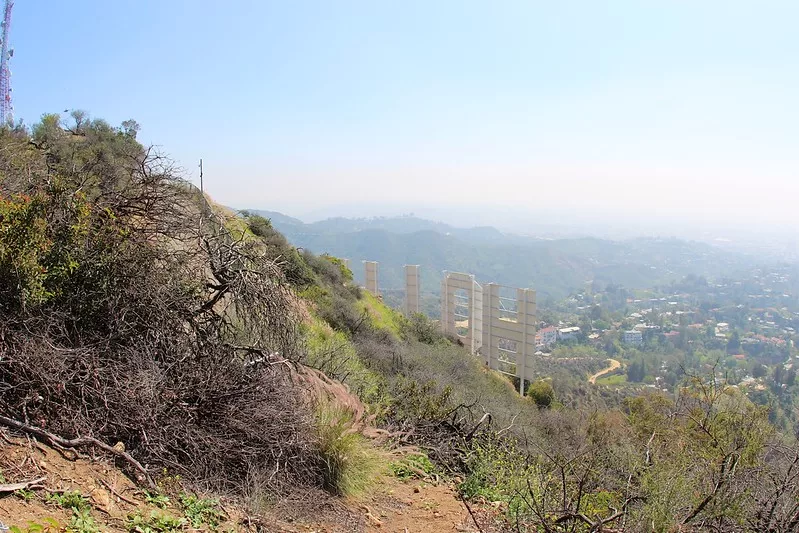 View behind the Hollywood sign