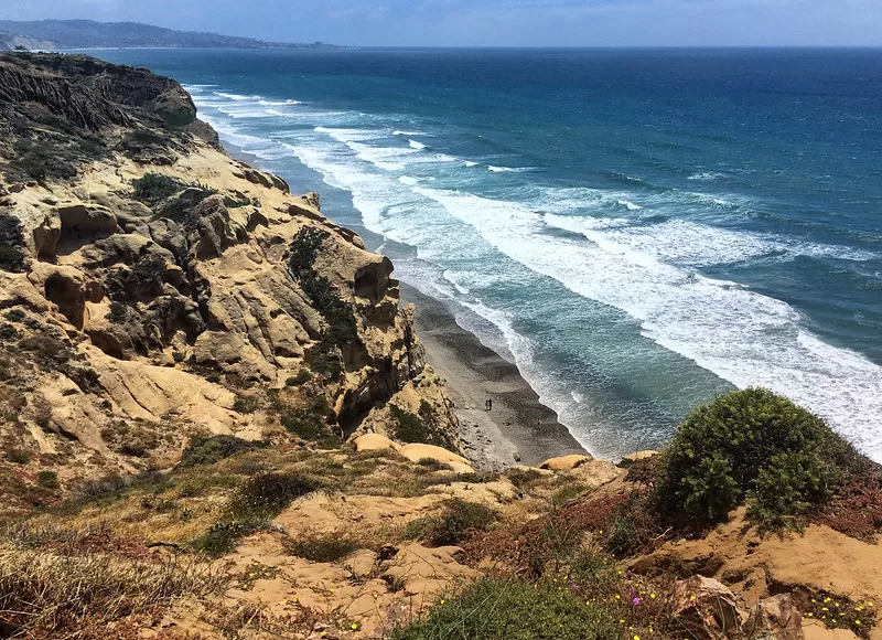 Torrey Pines State Natural Reserve above beach