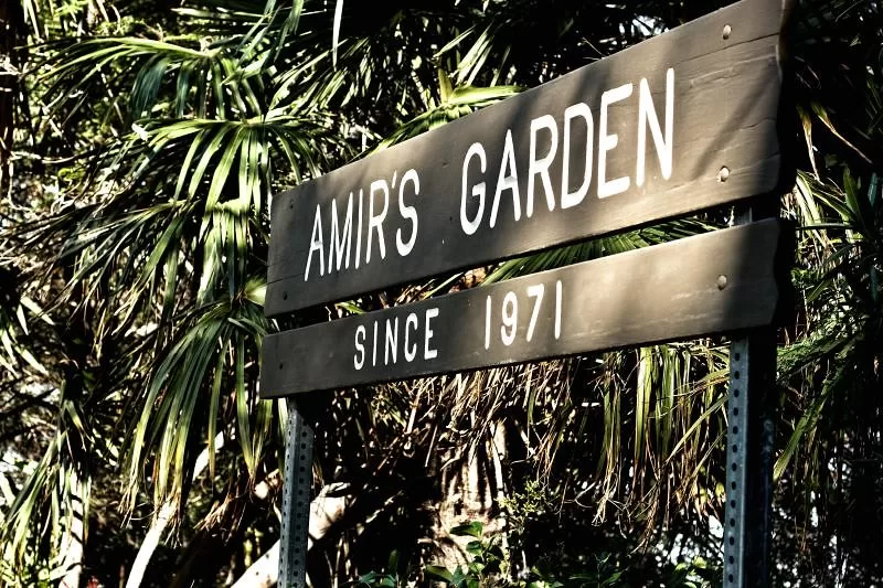 Amir's Garden Since 1971