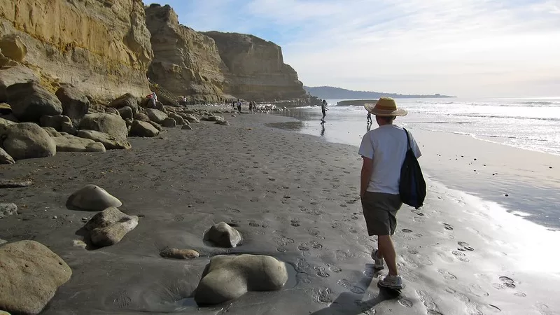 Torrey Pines