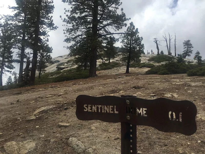 Sentinel Dome Trail