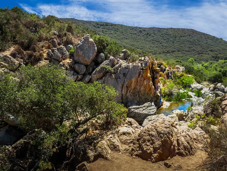 Penasquitos Canyon's Creek