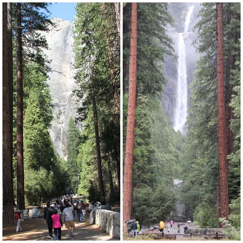 Lower Yosemite Fall