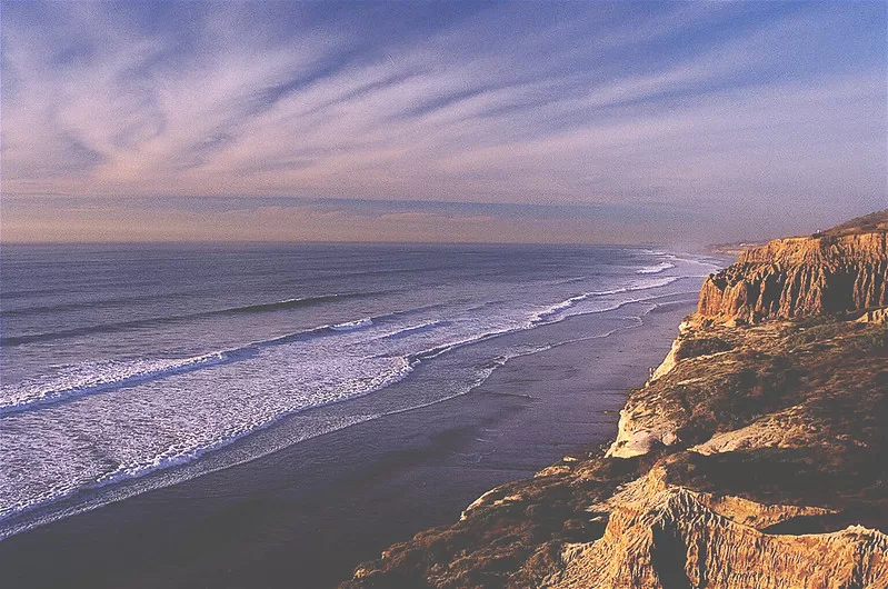 Torrey Pines State Preserve