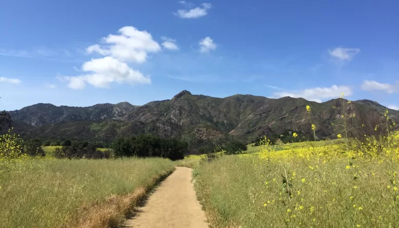 Santa Monica Mountains, California, USA