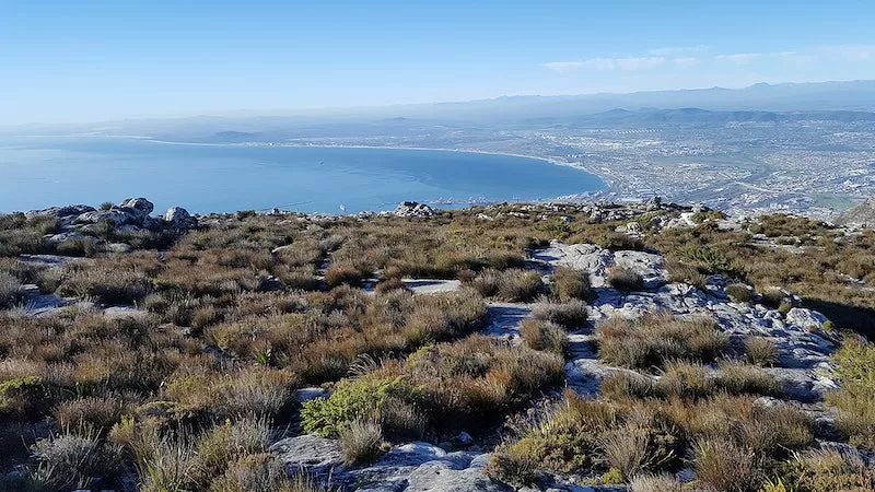 Temescal Canyon