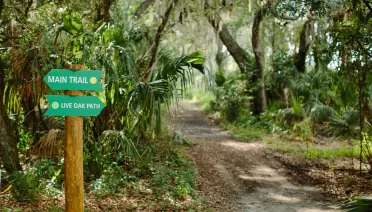 Hiking Trails in South Florida