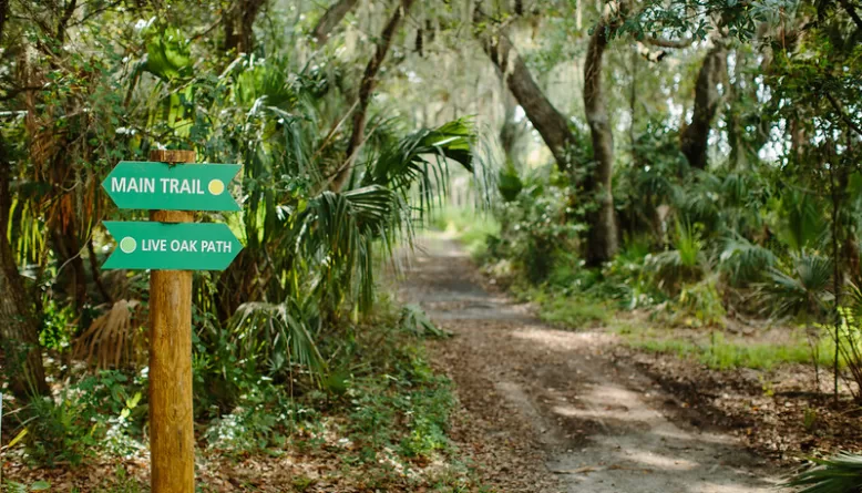 Hiking Trails in South Florida